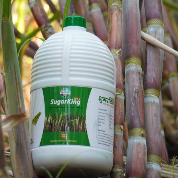 MahaAgro Bioteck Sugarking sugarcane nutrient solution packaging