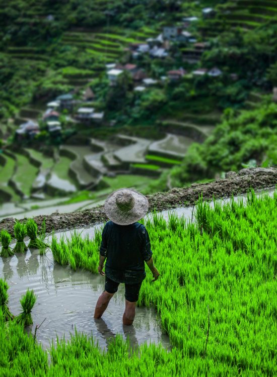 MahaAgro Bioteck organic agriculture solutions for sustainable farming in India