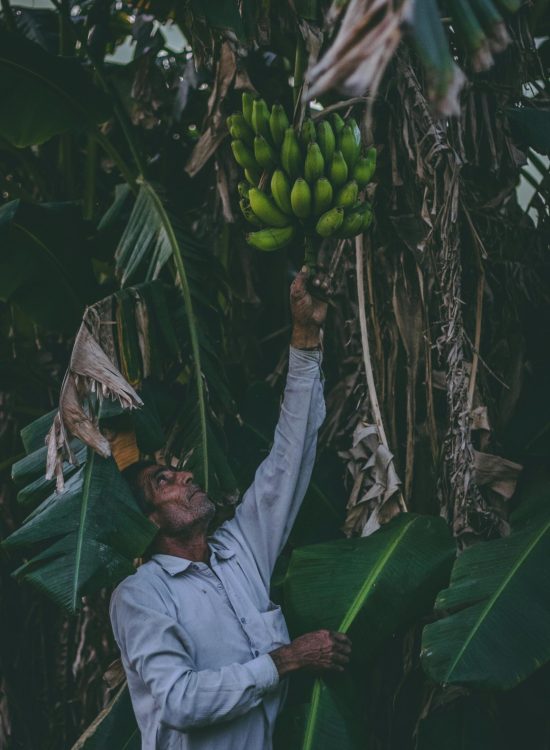 Bio stimulant products for higher farm yield